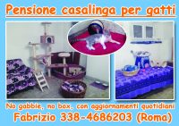 Educatore_Cinofilo_Dog_sitter_Pensione_casalinga_Roma_2.jpg