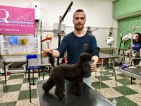 ACAD-scuola-di toelettatura-e-benessere-animale-4.jpg