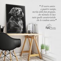 PetsPhoto_Roma_1.jpg
