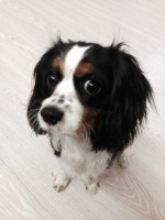 image.jpeg