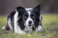 rem-agility-team-3.jpg