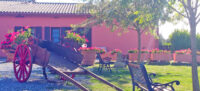 agriturismo-lacacia-costa-degli-etruschi.1.jpg