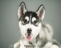 Simone_Luca_Photography_2.jpg