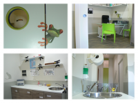 Thuja_Ambulatorio_Veterinario_Reggio_Calabria_1.png