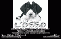 L'OSSO-Toelettatura-Professionale-Milano-3.jpg