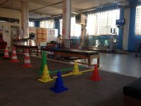 Qua-la-Zampa -Centro-di-fisioterapia-per-animali-1.JPG.JPG