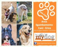 area-sgambamento-cani-erice_3.jpg
