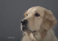Simone_Luca_Photography_1.jpg