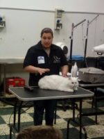 ACAD-scuola-di toelettatura-e-benessere-animale-1.jpg