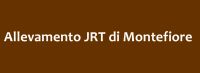 jrt logo.png