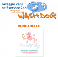 wash dog roncadelle.png