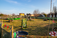 iagolandia-parco-giochi-per-cani_1