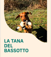la-tana-del-bassotto-1.png