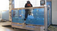 Qua-la-Zampa -Centro-di-fisioterapia-per-animali-2.JPG