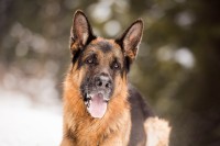Cecilia-Zuccherato-Photography-3.jpg