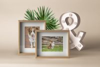 zampette-click-pet-photography-a-vicenza-1.jpg