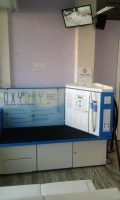 toelettatura-cani-self-service-wash-dog-torino-sud-1.jpg