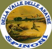 Della_Valle_delle_Anatre_Allevamento_Spinone_Italiano.jpg