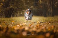 Mattia_Gorno_Photo_2.jpg