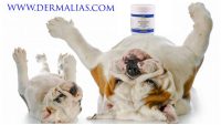 dermalias-prodotti-dermatologici-veterinari-1.jpg