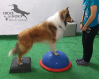 croce-del-nord-dog-experience-4.jpg