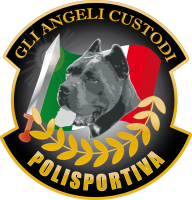 Polisportiva_GLI_ANGELI_CUSTODI.png