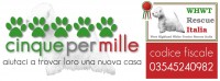 banner 5x1000.jpg