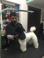      Ed'spet