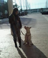 simona-nerucci-educazione-cinofila-riabilitazione-sociale-comportamentale-ed-emotiva-del-cane_1.jpg