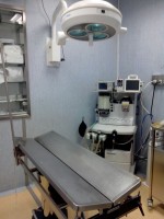 veterinary-day-hospital-ambulatorio-veterinario-catania-auteri-dott-davide-1