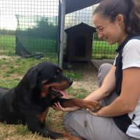 ASSOCIAZIONE_LA_CASA_DI_DORA_RESCUE_PER_ROTTWEILER_1.JPG