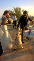 wedding_dog_sitter_parola_di_fido_1.jpg