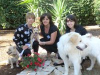 PET_SERVICE_CORATO_Pensione_Casalinga_e_Wedding_Dog_Sitting_2.JPG