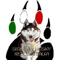 siberian-husky-rescue-italia.jpg