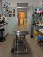 Veterinario_Torino_Dr.Remo_4.JPG