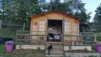 Wolf_Hill_Dog_Training_Center_1.jpg