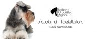 WELLNESS_GROOMING_SCHOOL_Scuola_di_Toelettatura_1.jpg