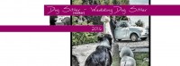 wedding-dog-sitter