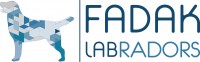 ott_2015_logo_FADAK_colori_positivo.jpg