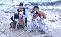 PET_SERVICE_CORATO_Pensione_Casalinga_e_Wedding_Dog_Sitting_1.jpg