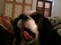 image.jpeg