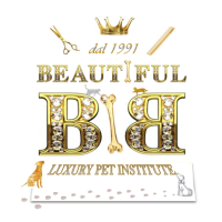 beautiful-luxury-pet-institute-cagliari.png