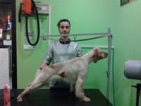 cip-e-ciop-toelettatura-cani-foggia-1.jpg
