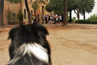 Portami_Con_Te_marriage_dog_sitting_3.jpg