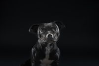 Simone_Luca_Photography_3.jpg
