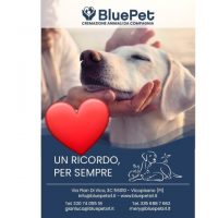 blue-pet-cremazione-animali-pisa-2.jpg
