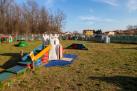 iagolandia-parco-giochi-per-cani_3