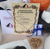 fedele-amico-mio-cremazione-animali-2.jpg