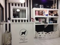 Best_for_Pets_spa_1.jpg