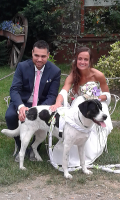 PET_SERVICE_CORATO_Pensione_Casalinga_e_Wedding_Dog_Sitting_3.png